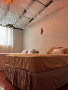 康塞普西翁德阿塔科Hostal Lenha的一间卧室配有一张带棕色床单的大床