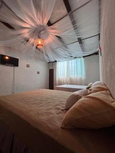 康塞普西翁德阿塔科Hostal Lenha的卧室配有一张白色天花板的床