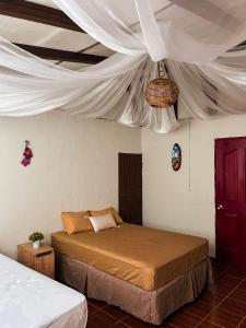 康塞普西翁德阿塔科Hostal Lenha的一间卧室配有床和带窗帘的天花板