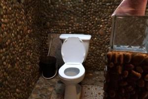 邦隆树冠生态山林小屋的石墙内带卫生间的浴室