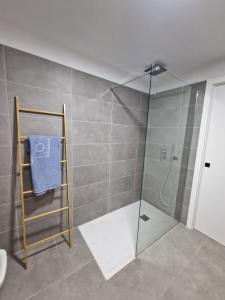 卡勒达德福斯特Hoy Caleta Apartments的带淋浴的浴室和玻璃门