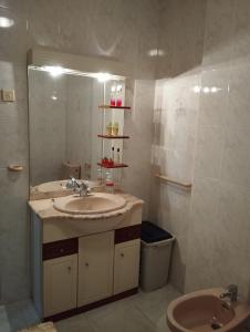 福斯特拉Apartamento céntrico Prado Blanco的一间带水槽和镜子的浴室
