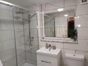 阿伯丁Spacious Elegant 2-BR Apartment in Aberdeen City Centre的带淋浴、卫生间和盥洗盆的浴室