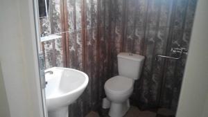 巴统Guest House Batumi的一间带卫生间和水槽的浴室