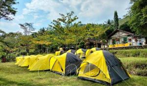 武吉丁宜Tapian Asri Camp的一块田野上一排黄色帐篷