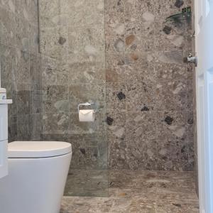 坎永莱格Canyonleigh Retreat的一间带卫生间和步入式淋浴间的浴室