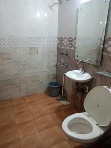 新德里Hotel lodge kalkaji的一间带卫生间和水槽的浴室