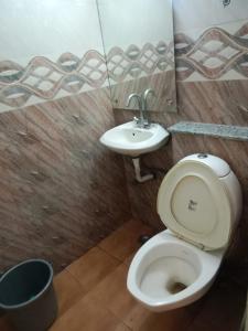 新德里Hotel lodge kalkaji的一间带卫生间和水槽的浴室