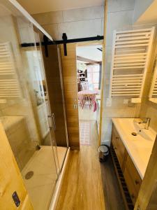 拉姆吉贝洛比斯托酒店的带淋浴和盥洗盆的浴室