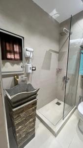 开罗White Pyramids Inn的带淋浴、盥洗盆和卫生间的浴室