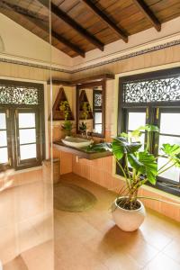 乌纳瓦图纳Roots Retreat的一间带水槽和盆栽植物的浴室