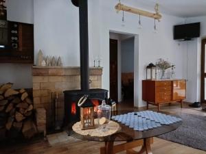 OsówekBory Tucholskie Domek Starzyska的客厅配有燃木炉灶和桌子