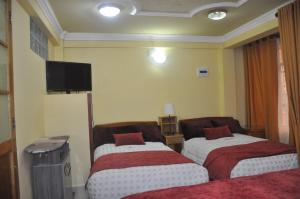 奥鲁罗COMODORO DEPARTAMENTOS的酒店客房设有两张床和一台平面电视。