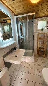乌塞林Useriner Ferienhaus的一间带水槽和淋浴的浴室