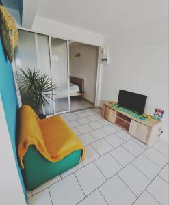 拜马欧appartement T2 avec jacuzzi的带沙发和电视的客厅