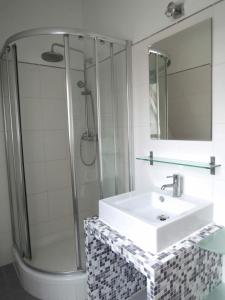默德林佛伦维拉公寓的一间带水槽和淋浴的浴室