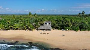 坦加拉The Alpha Monkey hotel & Tree house的海滩上房屋的空中景致
