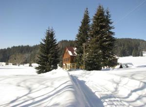 Horní VltaviceChata Polka的一座有树木的雪地房子