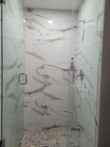 布兰普顿Individual home的白色大理石墙壁和玻璃门淋浴