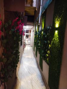 瓜廖尔Hotal Balaji的墙上挂着植物和鲜花的走廊