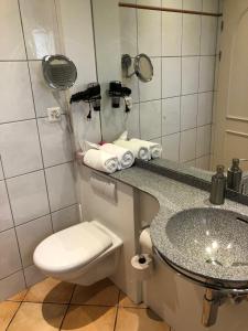 布里萨戈卡萨协奏曲酒店的一间带卫生间和水槽的浴室