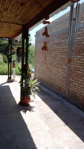 特尔马斯德里奥翁多Cabaña La Solanita的砖墙和盆里植物的庭院