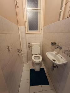 布达佩斯Babylon Hostel的一间带卫生间和水槽的小浴室