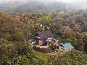 蒙纳Munnar Tea Estate Hotel and Resort的森林中间房屋的空中景观