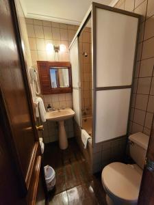 蓬塔阿雷纳斯默库里奥酒店的一间带卫生间和水槽的小浴室