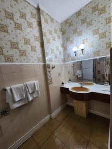 蓬塔阿雷纳斯默库里奥酒店的一间带水槽和镜子的浴室