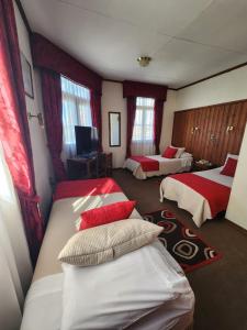 蓬塔阿雷纳斯默库里奥酒店的酒店客房设有两张床和电视。