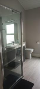 布瑞Eglinton Road - Super King - Private Bathroom的一间带水槽和卫生间的浴室