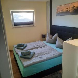 卡尔斯哈根Theunis Ferienwohnung的一间卧室配有一张带两个枕头的床