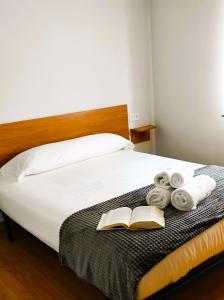卡斯特罗波尔HOLIDAY HOMES Figueras AT的一间卧室配有一张带书籍和毛巾的床