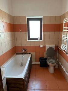 BraduCăsuța de la țară的带浴缸、卫生间和窗户的浴室