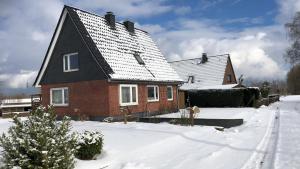 EsgrusFerienhaus Erdmann-Huus的雪中的房子,有圣诞树