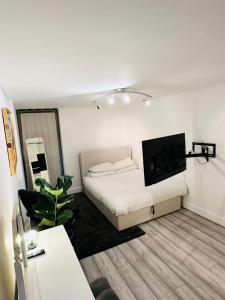 伦敦CENTRAL London Luxury APP的一间卧室配有一张床和一台平面电视