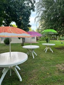 SaladilloA CAZON QUITADO的三个野餐桌,在草地上放伞