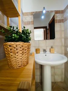 内比达Casa Bellavista的一间带水槽和盆栽植物的浴室