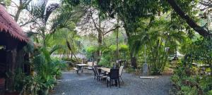 普拉亚埃尔莫萨Congos Hostal y Camping的树木繁茂的花园中的桌椅
