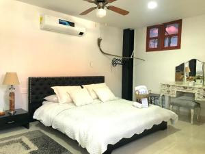 里奥阿查Luna Nueva Casa de Huéspedes的一间卧室配有一张带风扇和书桌的床。