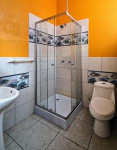 奥科苏尤Amantani Samary Lodge的带淋浴、卫生间和盥洗盆的浴室