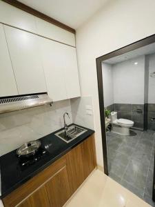 河内FlowerGod Apartments - BlackPink HomeStay的带水槽的厨房和带卫生间的浴室