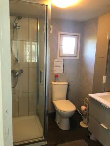 罗克布伦河畔阿尔让BUNGALOW 60 M2的浴室配有卫生间、淋浴和盥洗盆。