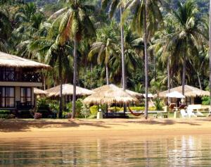 象岛安布尔沙滩度假村的海滩上设有遮阳伞和椅子,棕榈树