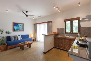 普拉兰燕子自助旅馆的厨房以及带蓝色沙发的客厅。