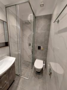 艾斯普罗瓦塔Emotion Apartments的带淋浴、卫生间和盥洗盆的浴室
