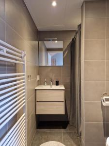 佐特兰德Zoetenaar Zoutelande的一间带水槽和镜子的浴室
