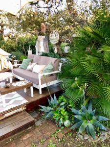 奇克拉纳－德拉弗龙特拉Glamping - La Casa del Piano的带沙发和一些植物的庭院