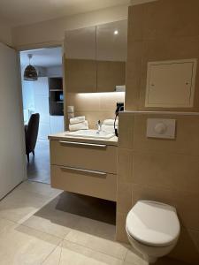 里尔Twenty Business Flats Lille - Bayard的浴室配有白色卫生间和盥洗盆。